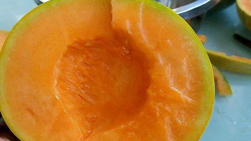 蜜瓜热门话题,探寻夏日消暑美食的甜蜜奥秘