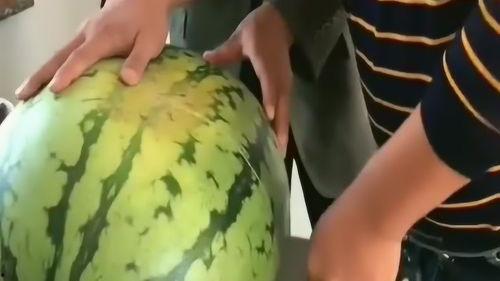 吃瓜爆料一家人,一家人的吃瓜爆料，生活百态尽收眼底