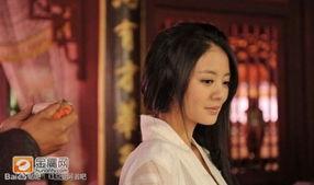 明星网红前世是谁,明星网红的前世之谜，探寻他们神秘过往的传奇故事