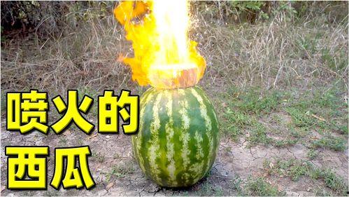 好看的热门大瓜,热门大瓜背后的惊人真相