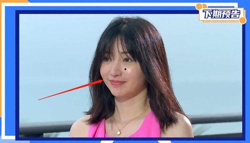 明星网红简介怎么写,璀璨星光下的网络影响力传奇