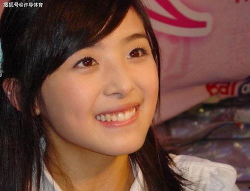 明星网红简介怎么写,璀璨星光下的网络影响力传奇