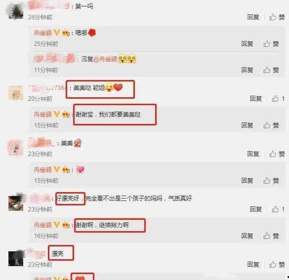 明星吃瓜视频大全爆料最新版,最新爆料版，揭秘娱乐圈幕后真相