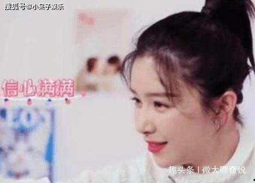 明星网红咨询电话,粉丝心声与幕后故事