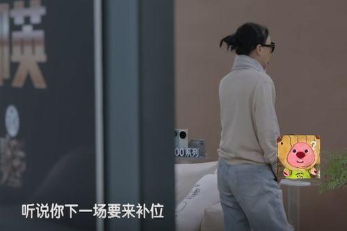 明星网红沙发翻车图片,明星同款变“笑柄”，揭秘网红产品背后的真相