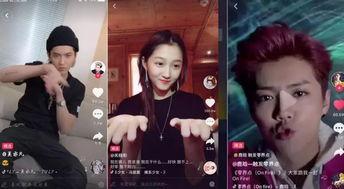 明星网红堵门视频大全,一场场引人瞩目的网络狂欢