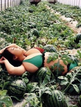 热门瓜女子,揭秘网络红人的崛起与争议