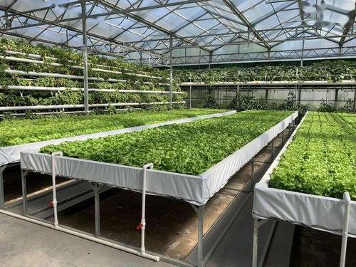 带你吃瓜黑科技小游戏,畅游“带你吃瓜黑科技小游戏”的奇幻世界