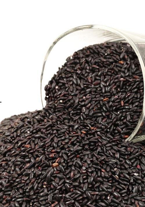 黑米与老瓜能一起吃吗宝宝,宝宝饮食搭配指南