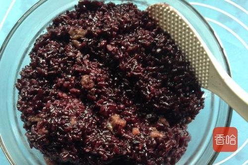 黑米与老瓜能一起吃吗宝宝,宝宝饮食搭配指南