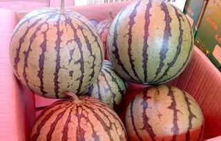 热门吃瓜最新最火的瓜,揭秘当红明星的惊天秘密！