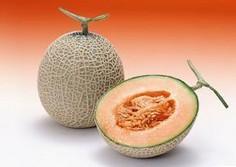 2023哈密瓜今日行情,今日价格波动与趋势分析