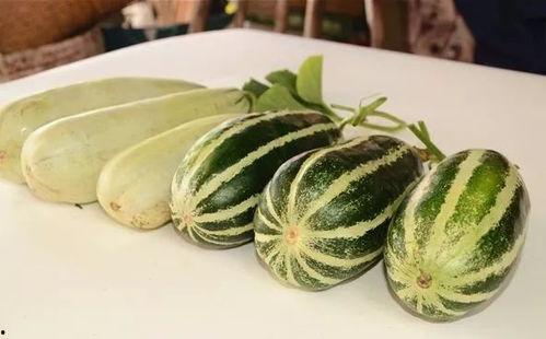 最新热门网红瓜,揭秘最新热门网红瓜背后的故事