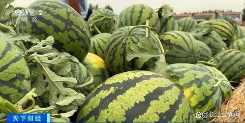 2023热门瓜事件,2023年度娱乐圈热门瓜事件大盘点