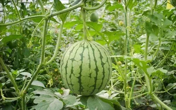 2023热门瓜事件,2023年度娱乐圈热门瓜事件大盘点