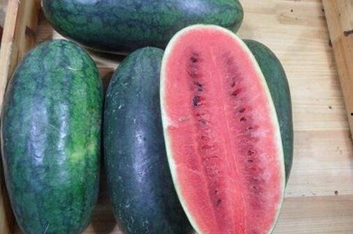 黑瓜不能和什么一起吃,揭秘不能与黑瓜同食的食物清单