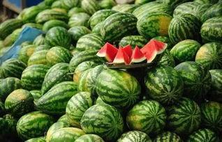 黑瓜不能和什么一起吃,揭秘不能与黑瓜同食的食物清单