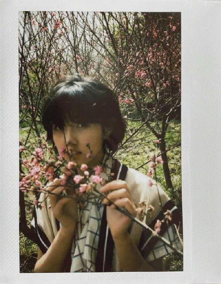 娱乐圈吃瓜爆料张若昀,娱乐圈爆料背后的真相与情感纠葛