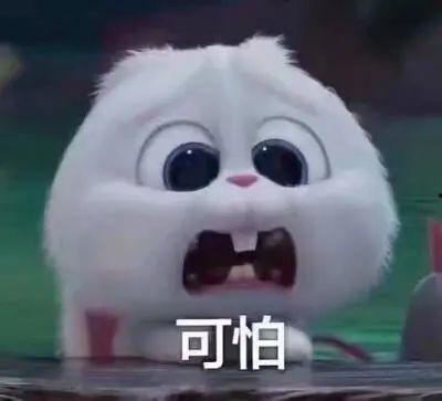 河北吃瓜爆料事件真相揭秘,揭秘背后真相与争议