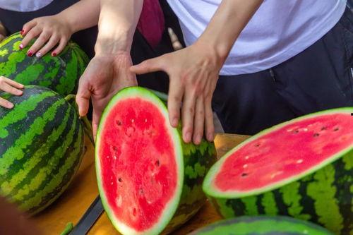 今日吃瓜聚集地,热点事件背后的真相与笑料