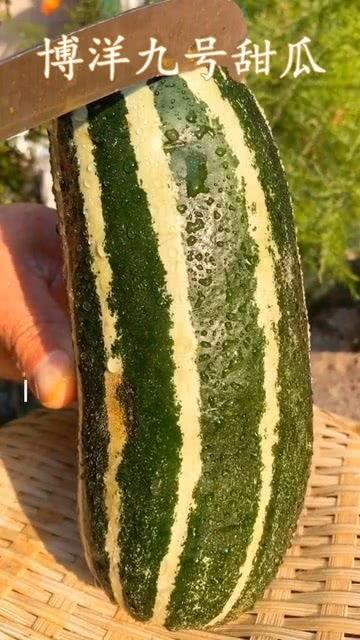 51吃过热门大瓜,揭秘娱乐圈最新猛料，带你领略明星幕后故事