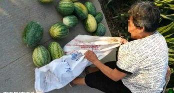 乐清近期热门吃瓜事件,揭秘近期热门吃瓜事件的背后真相