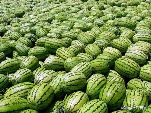 51今日吃瓜热门大瓜入口往期,回顾往期热门大瓜，揭秘娱乐圈幕后真相