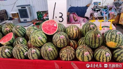 云南建水小瓜今日行情,丰收喜人，价格稳中有升