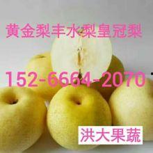 今日蒲瓜批发价,市场行情波动，价格涨跌不一