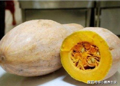 黑料吃黑瓜网属于什么,网络黑产背后的黑暗秘密