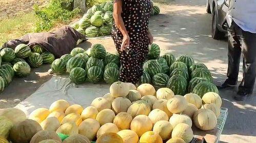 热门吃瓜贴吧,娱乐圈幕后真相大曝光