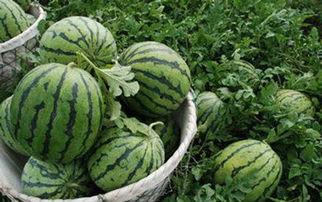 2023吃瓜热门事件,盘点那些引爆网络的热门事件