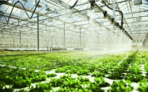 河北产业城吃瓜最新事件爆料,揭秘背后惊人真相