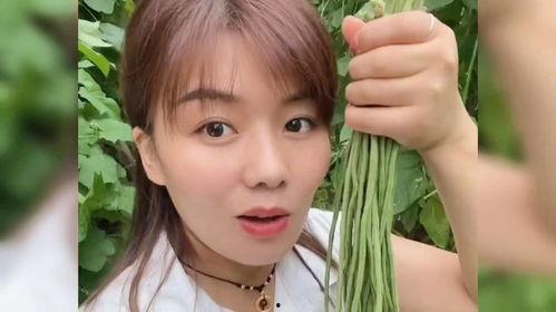 菏泽有多少明星网红,菏泽明星网红风采掠影