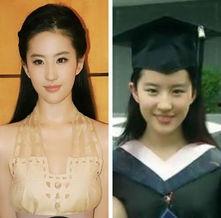 所有明星网红图片大全,揭秘全网明星网红风采集锦