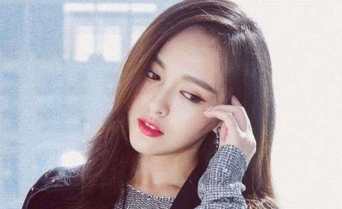 姓y的明星网红,跨界风潮中的璀璨新星”