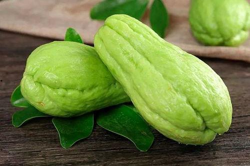 蛇瓜价格今日价格行情,波动分析及市场趋势洞察