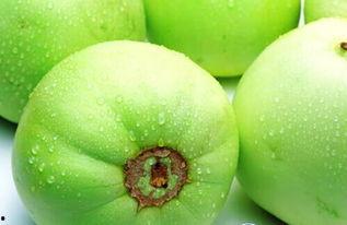 东营热门瓜,探寻东营热门瓜类的魅力