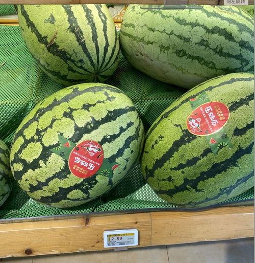 陶城镇小白瓜今日价格,新鲜上市，品质保证！”