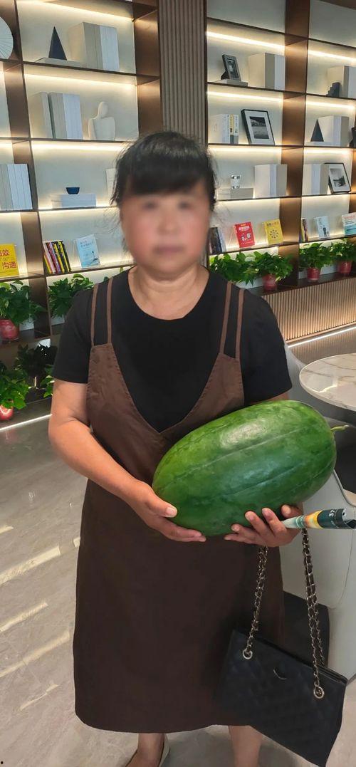 今日热门大瓜在线观看,实时在线观看，揭秘娱乐圈最新动态