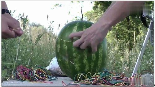 今日热门大瓜在线观看,实时在线观看，揭秘娱乐圈最新动态