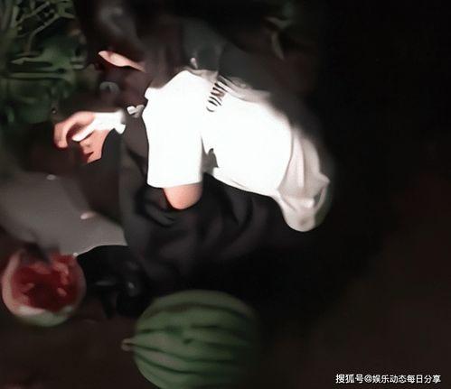 鹿邑偷瓜热门视频,一场引发热议的网络狂欢