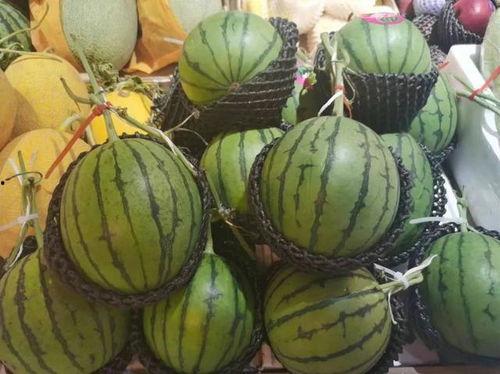 黑凤梨吃瓜,揭秘娱乐圈背后的秘密与真相