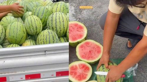 王婆今日不卖瓜了,瓜摊故事待续