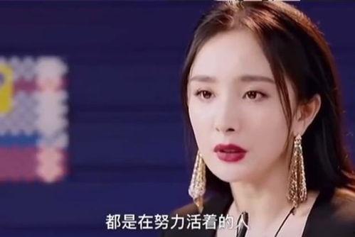 明星网红说邵阳话