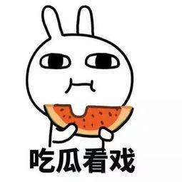 吃瓜热门口号大全霸气,霸气来袭，一网打尽年度热门话题