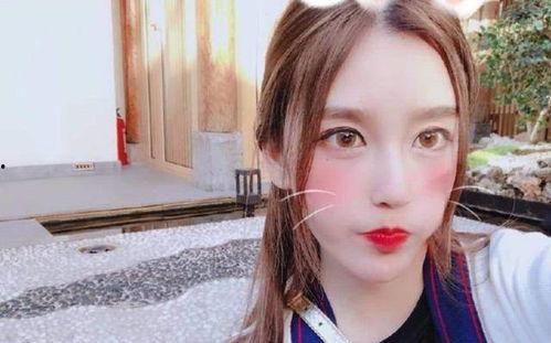 上海有多少明星网红,璀璨星光下的城市风采