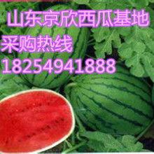 热门瓜河北,河北风云再起，背后真相令人震惊