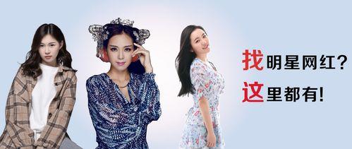 祝福视频明星网红的话,明星网红的温馨祝福视频集锦