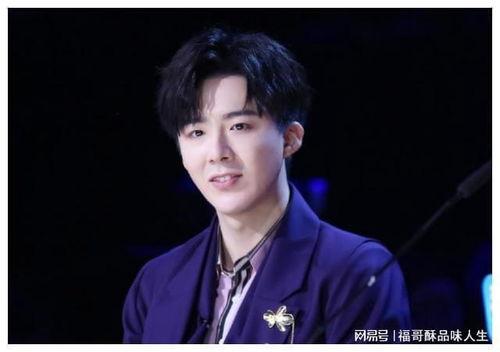 明星网红刘宇宁,从网络红人到明星的蜕变之路